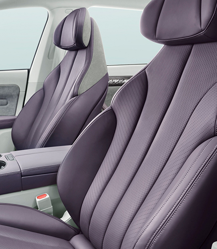 Seat leather